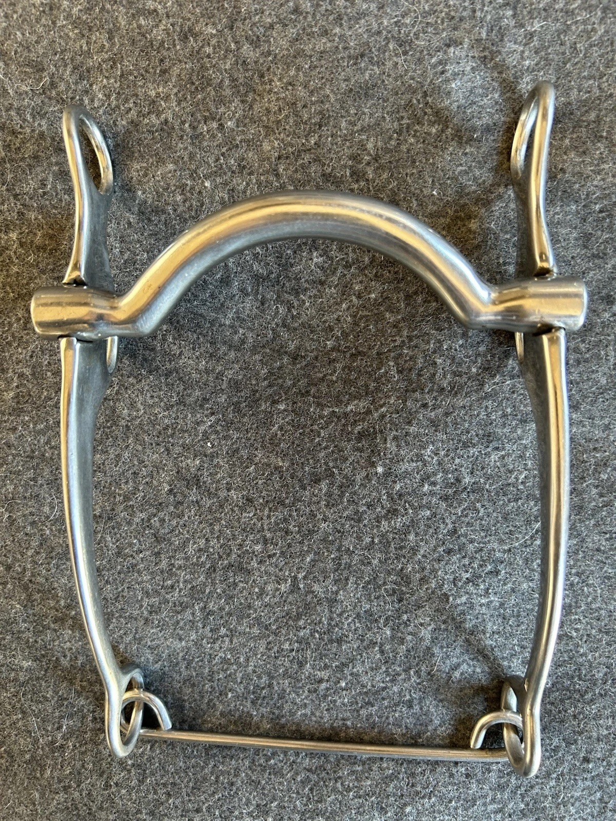 Stainless Steel Curved Mullen Curb Bit w/ NRS Curb Chain