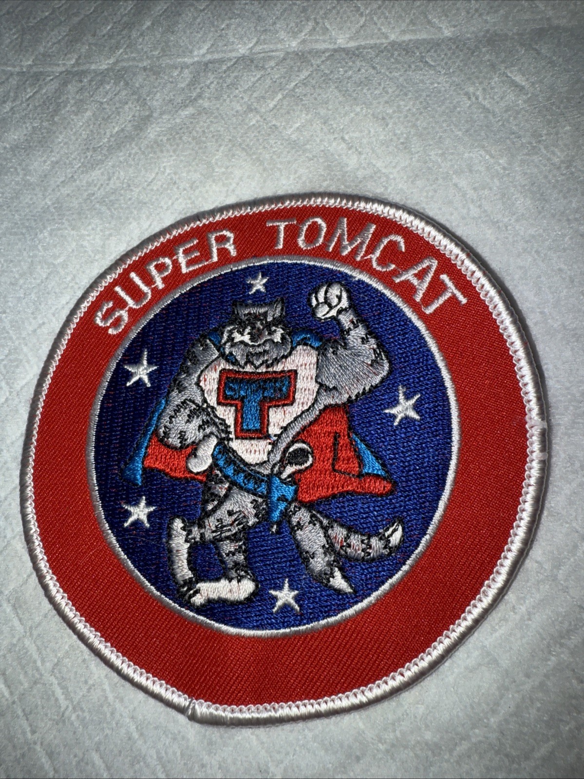 US Navy F-14 D Super Tomcat Patch Insignia #393