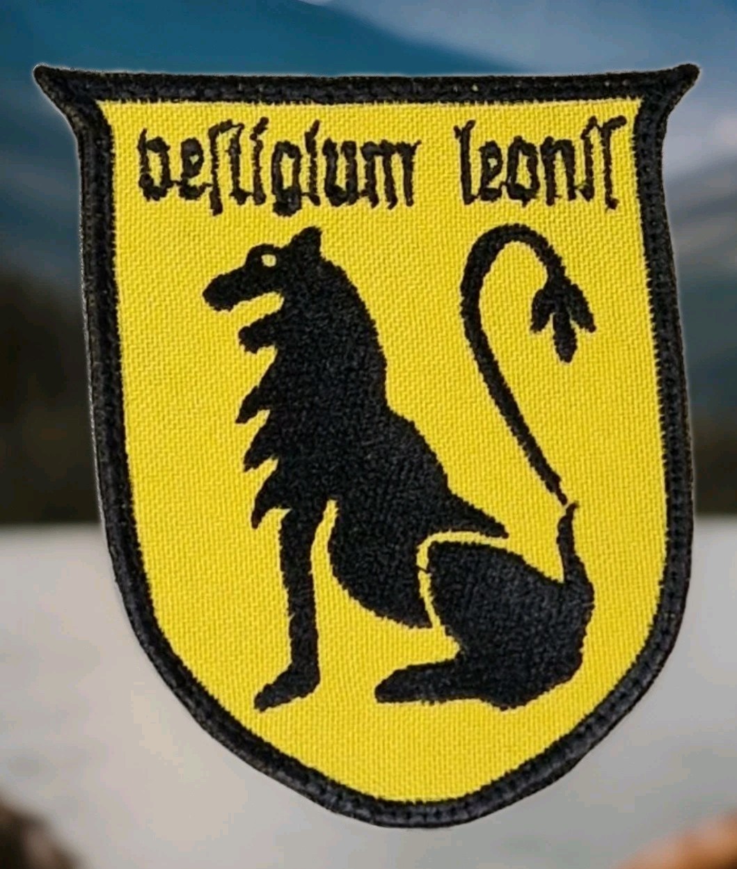 Patch. 26th Bomber Squadron of the Luftwaffe. World War II.
