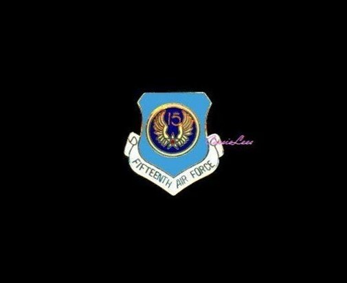 USAF 15th Air Force Shield  + a custom promo pin