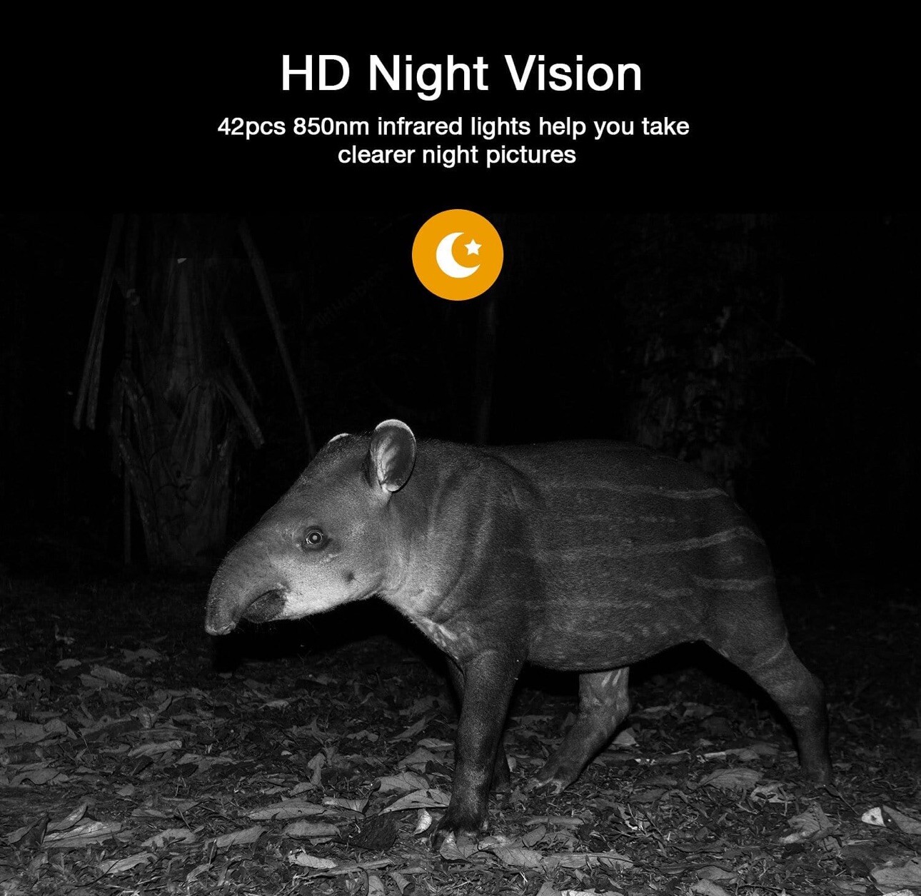 T40A FHD 4K & 42MPTrail Game Camera