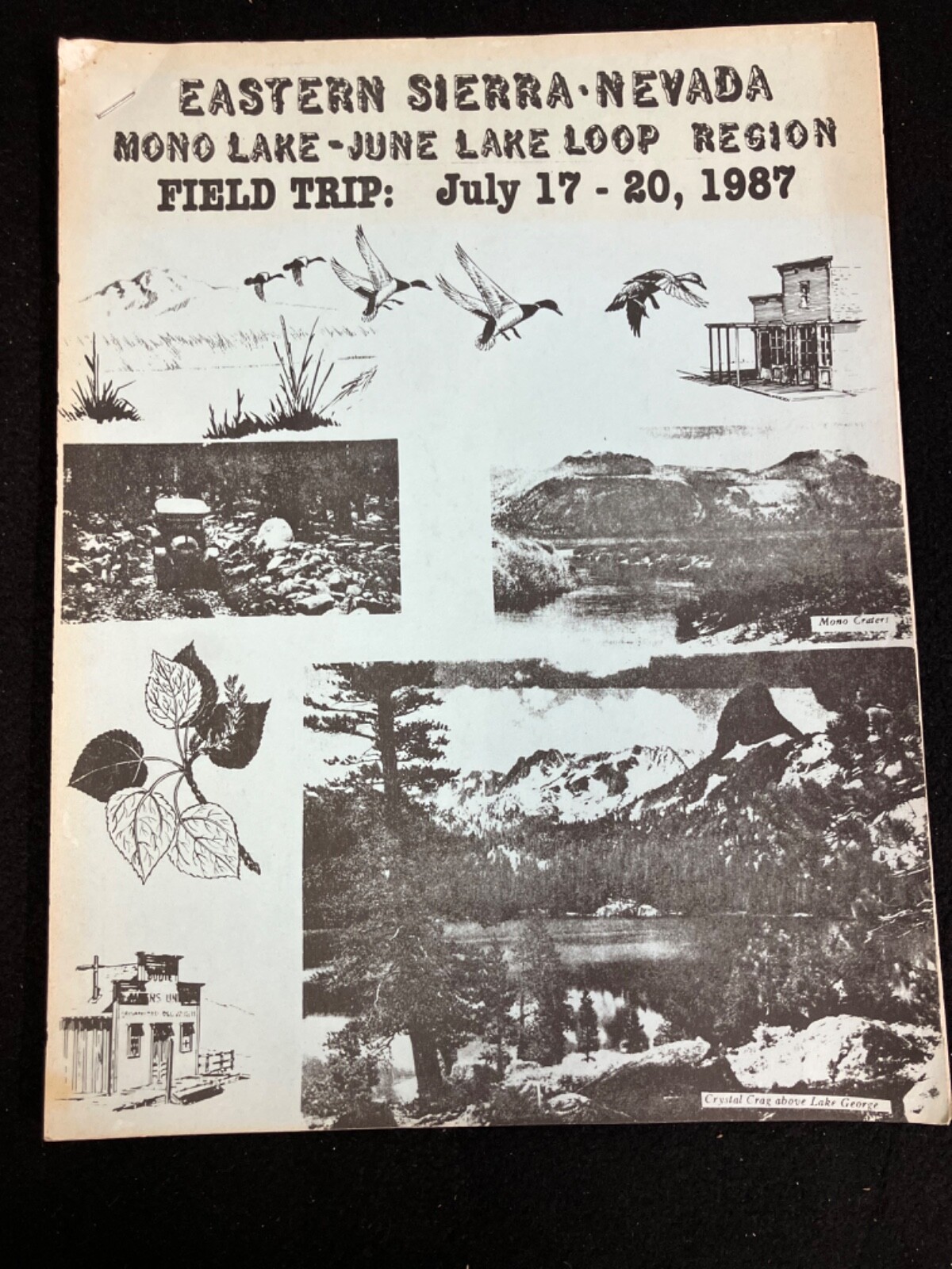 EASTERN SIERRA-NEVADA-MONO LAKE-JUNE LAKE LOOP REGION FIELD TRIP JULY 17-20 1987