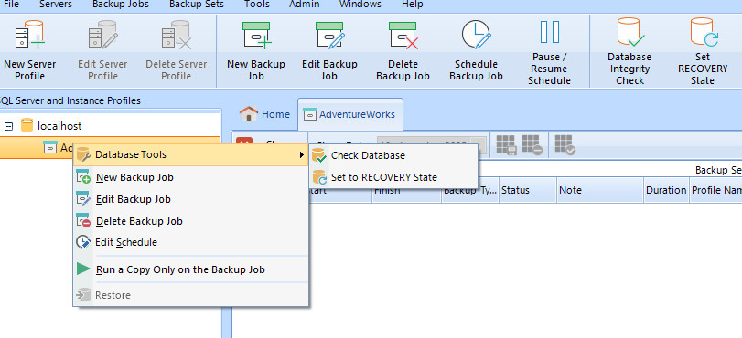 Bendani Backup Manager for Microsoft SQL Server, Full Perpetual License.