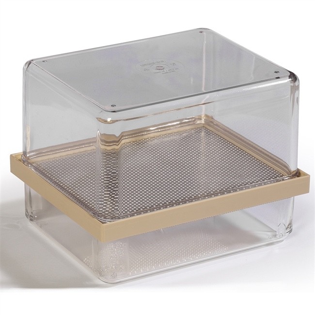 Grumbach Incubators - 8901 Box for reptile eggs, high (19,0 x 15,5 x 15,0cm)