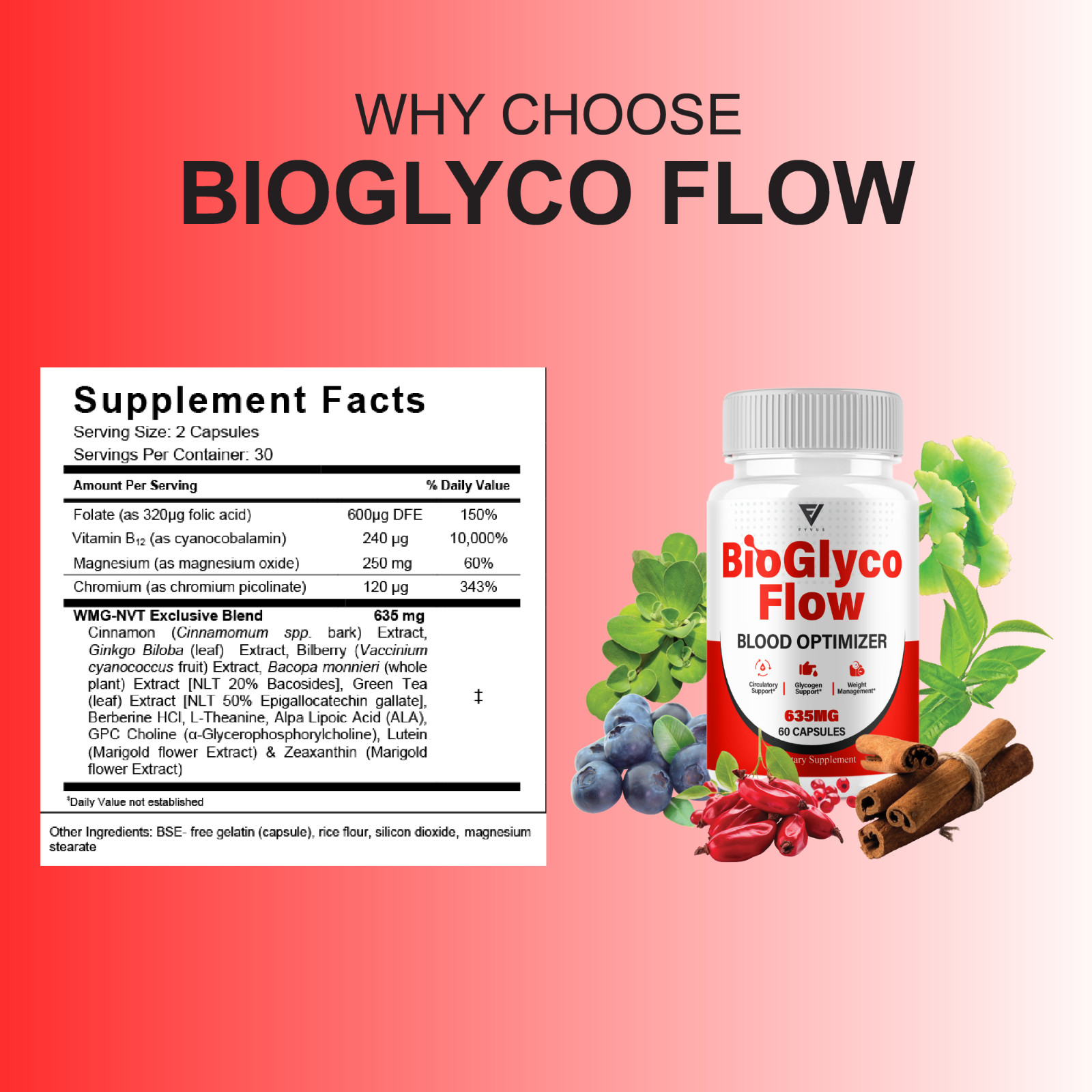 (5 Pack) BioGlyco Flow Blood Optimizer, BioGlyco Flow Supplement (300 Capsules)
