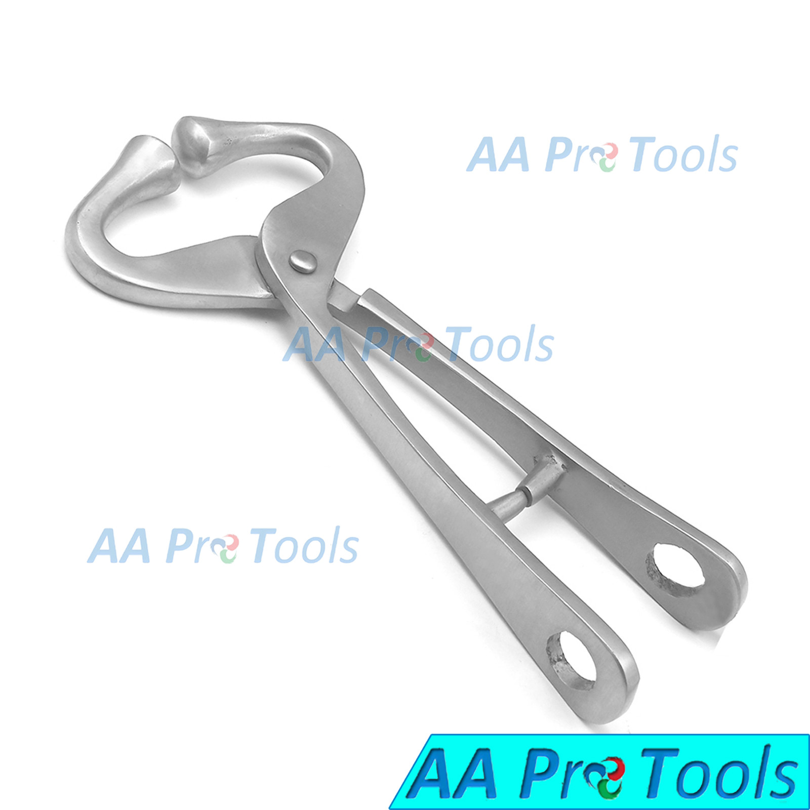 AA Pro: Bull Lead/Bull Nose Lead, 19cm  without Chain Veterinary Instruments