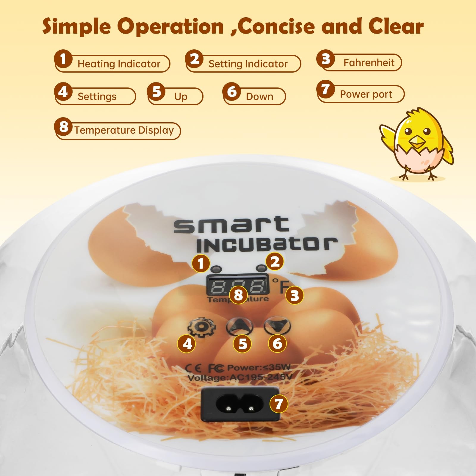Egg Incubator for Hatching Chicks, Automatic Egg Turner Holds 12 Eggs, Smart ...
