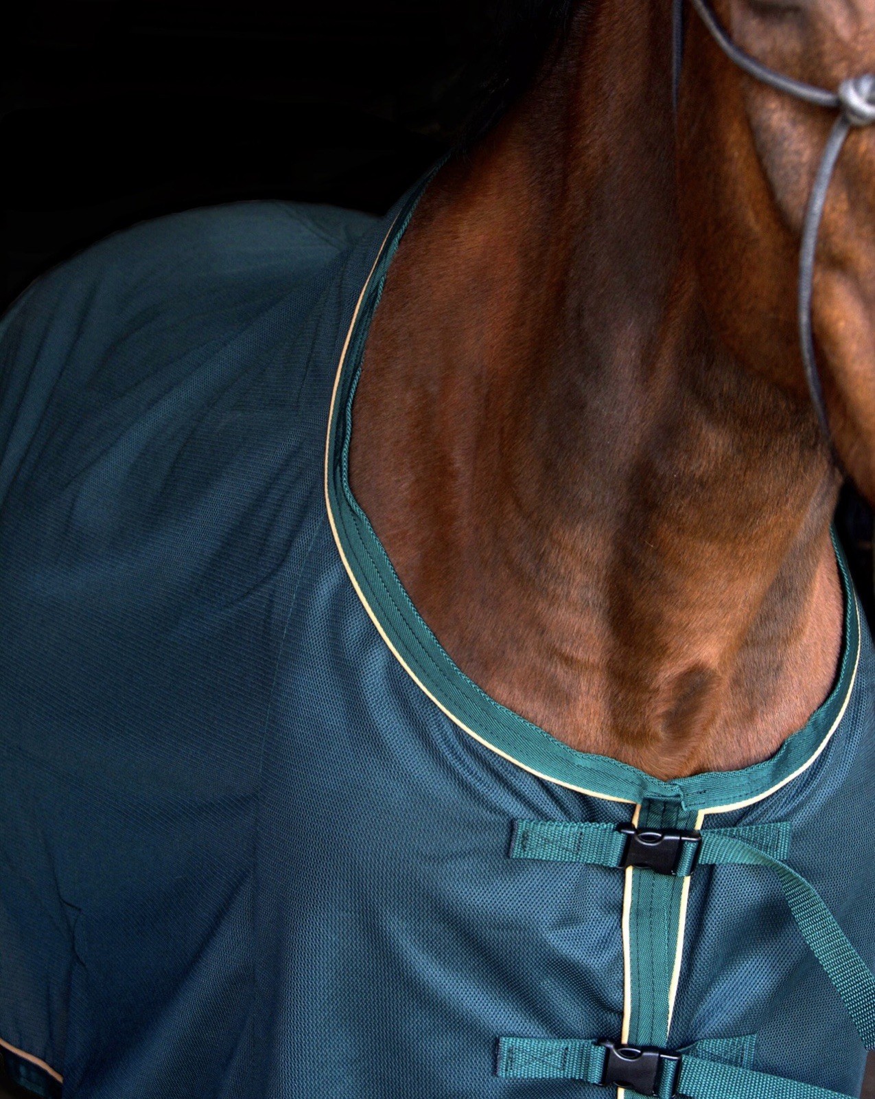 Saratoga Horseworks Oasis Summer Dress Sheet #1029 Sz 84 Hunter Green