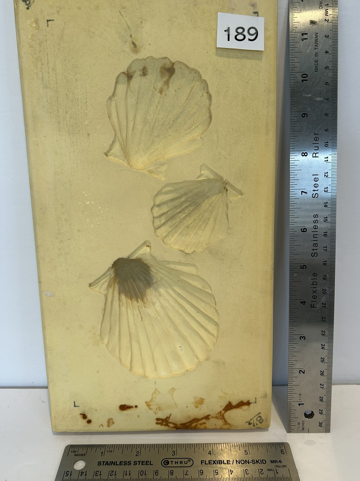 Shell Paper Casting Mold, Air dry clay and clay mold #189