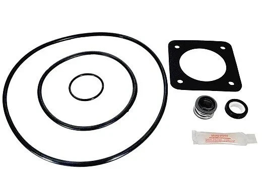 Aladdin Go Kit for Sta-Rite Max-E-Glas and Dura-Glas 1998 to present - APCK1051