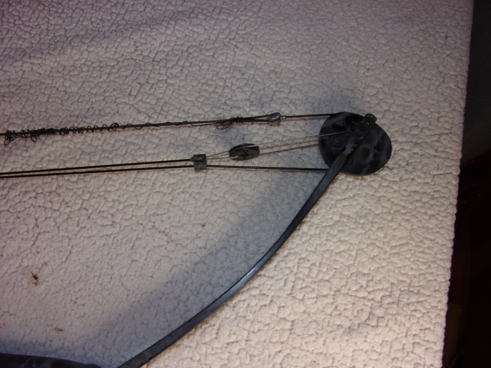 Darton Archery 60MX Compound Bow RARE