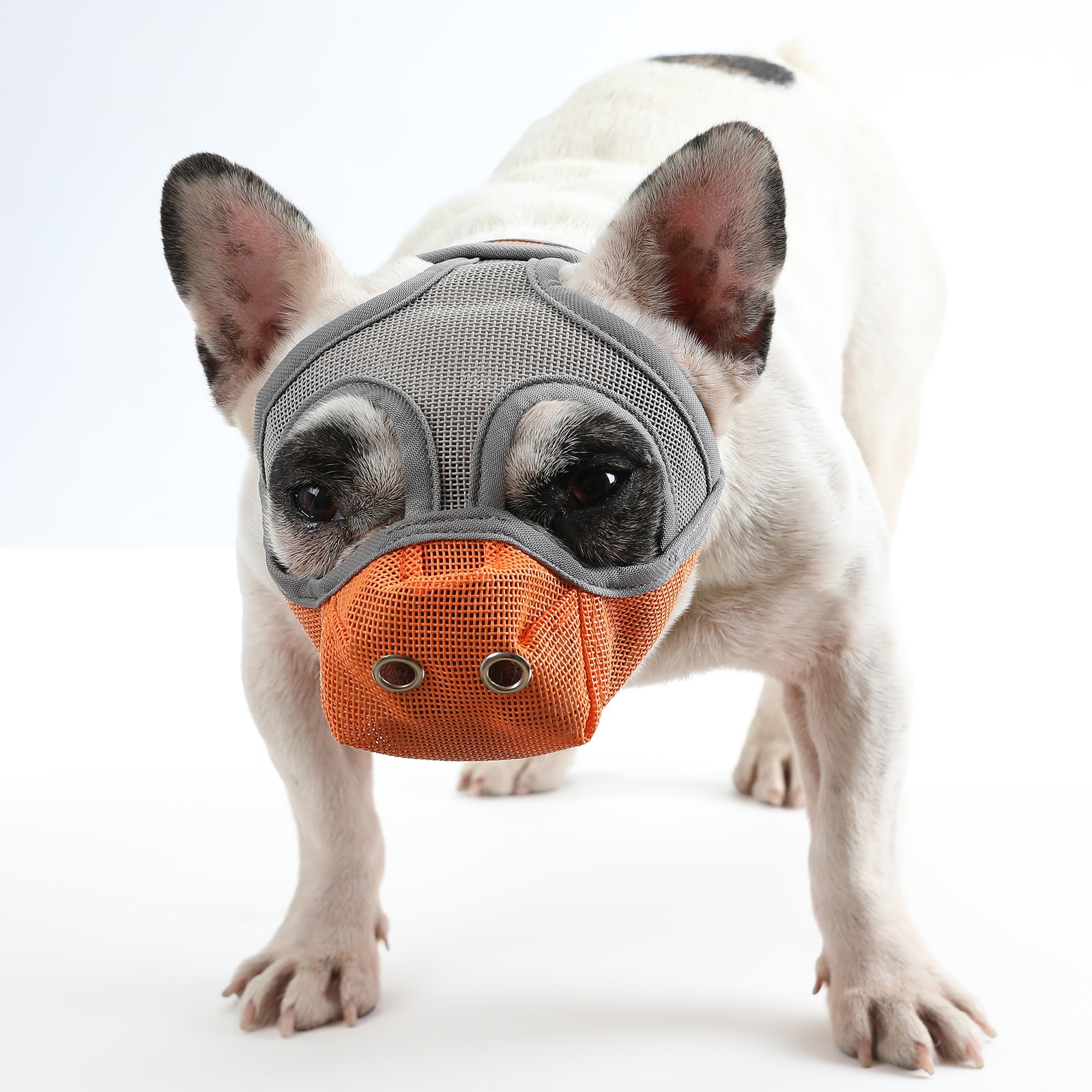 Dog Muzzle Breathable Mesh For Short Snout Dogs Prevent Biting Barking QARC