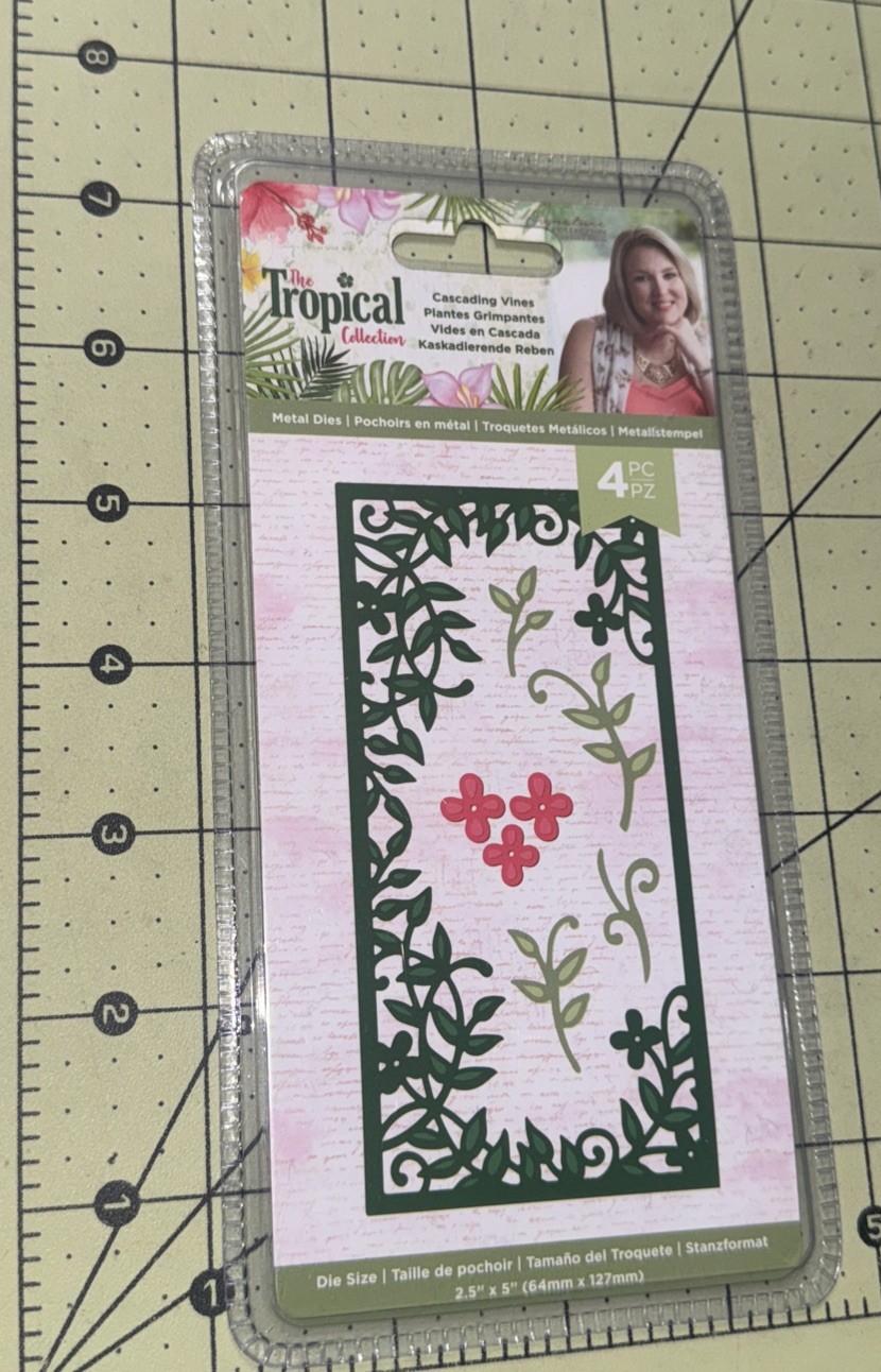 Crafters Companion Cascading Vine Die Rectangle From The Tropical Collection