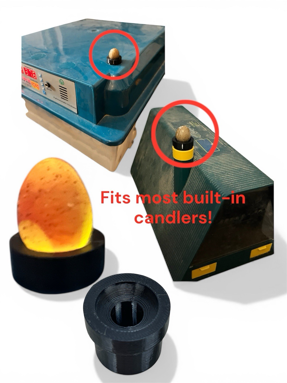 3D Printed Button Quail Egg Adapter For Built-in Brooder Incubator Candler Light