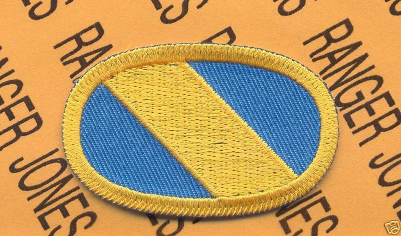 USA Special Forces Group Airborne SFGA parachute oval patch c/e