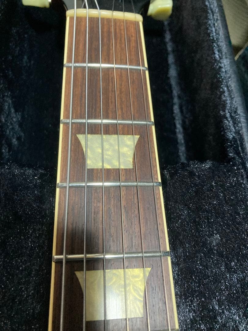 Bacchus Bls-Fm2 Around 2017 Order Model