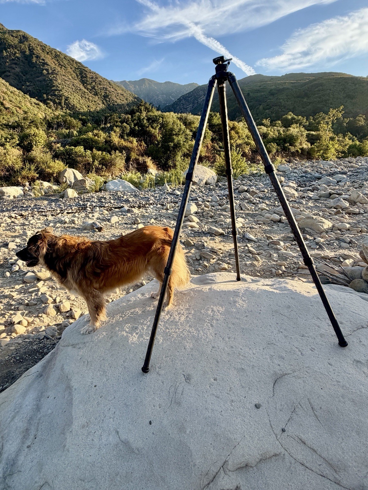 Really Right Stuff TVC-33 Mk2 Carbon Fiber Tripod with BH-40-LR ball head