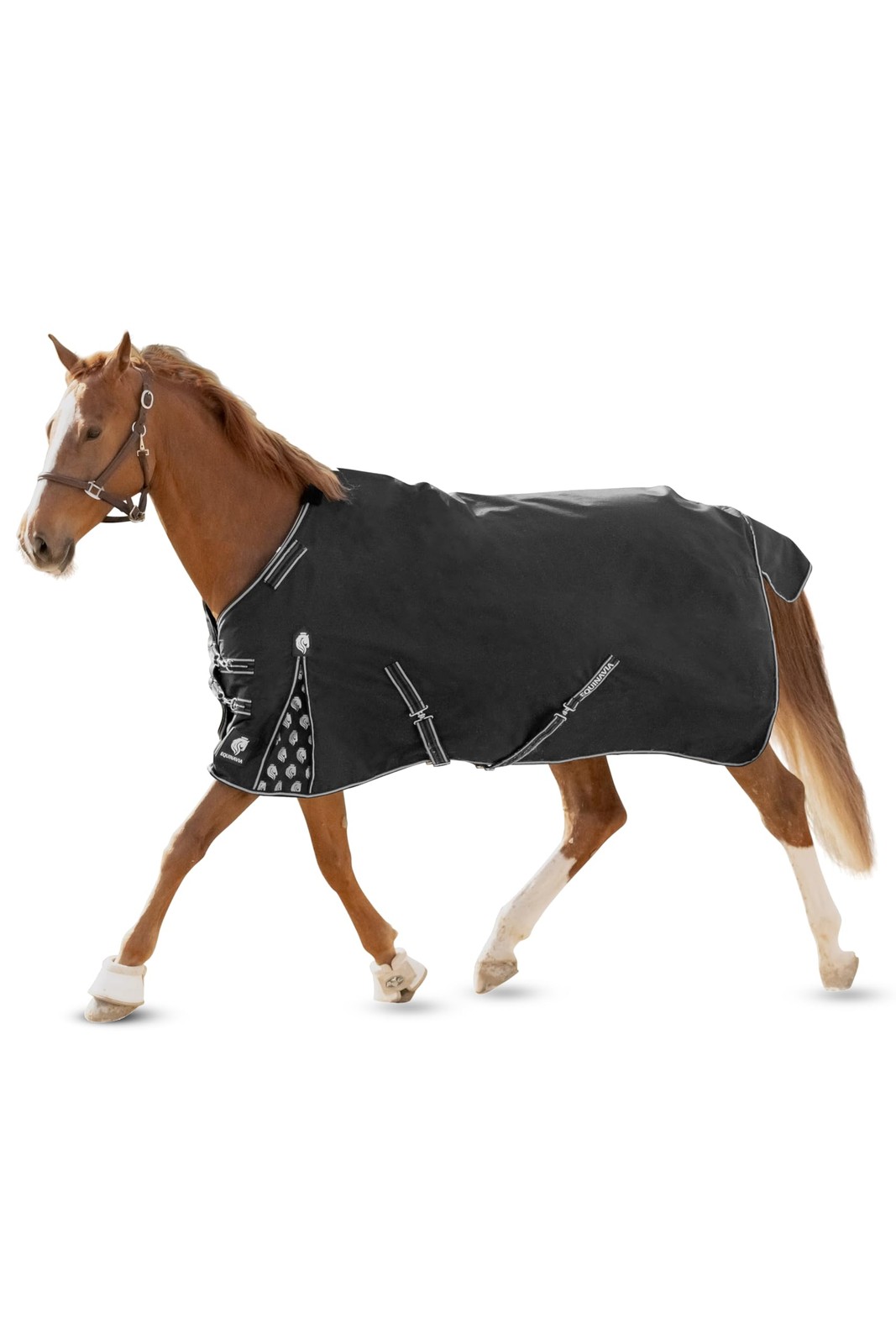 Equinavia Norse No Fill Horse Rain Blanket (0g) | Waterproof 69 in, Black