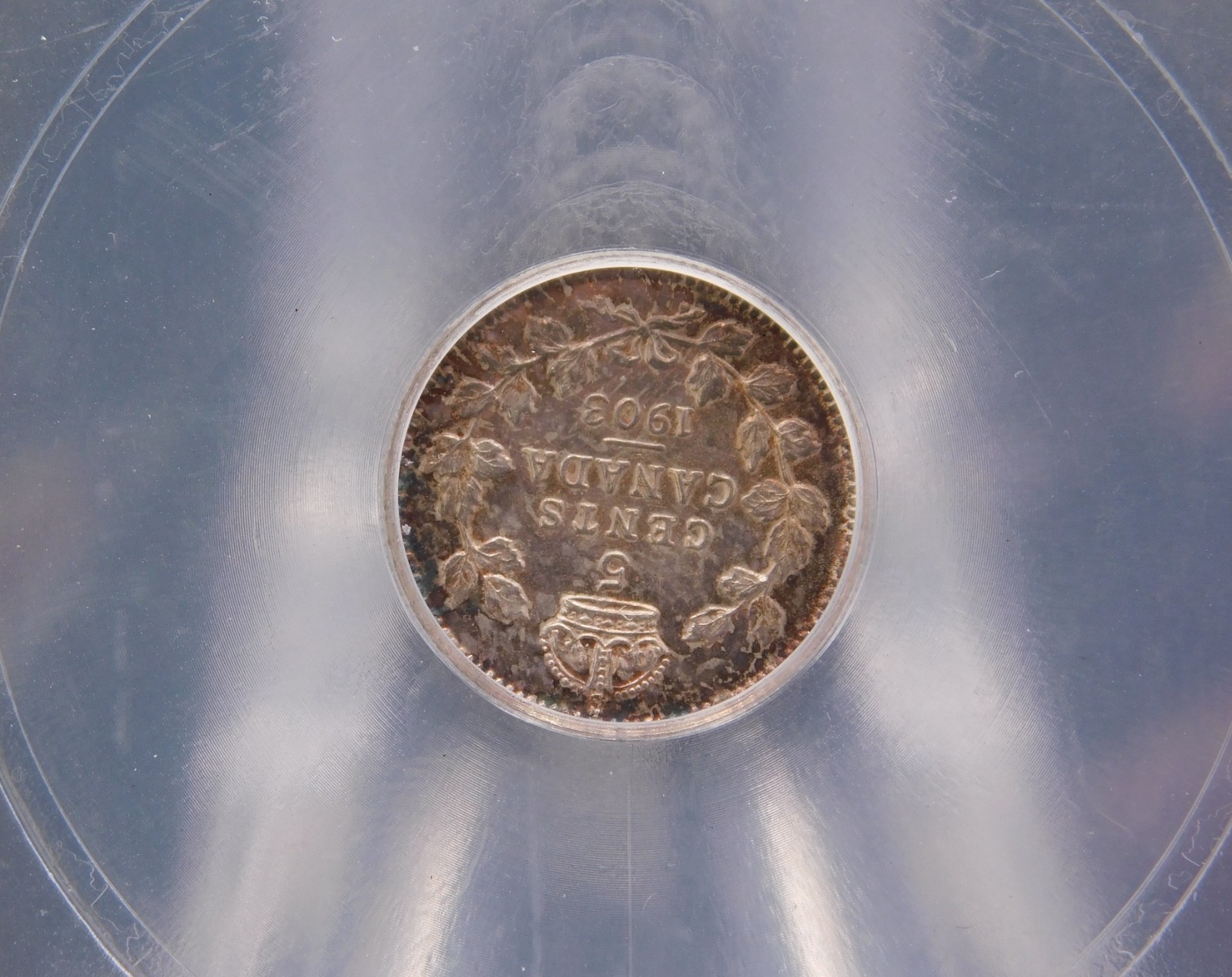 1903 CANADA FIVE CENT ICG MS 60 DETAILS (BT1255)