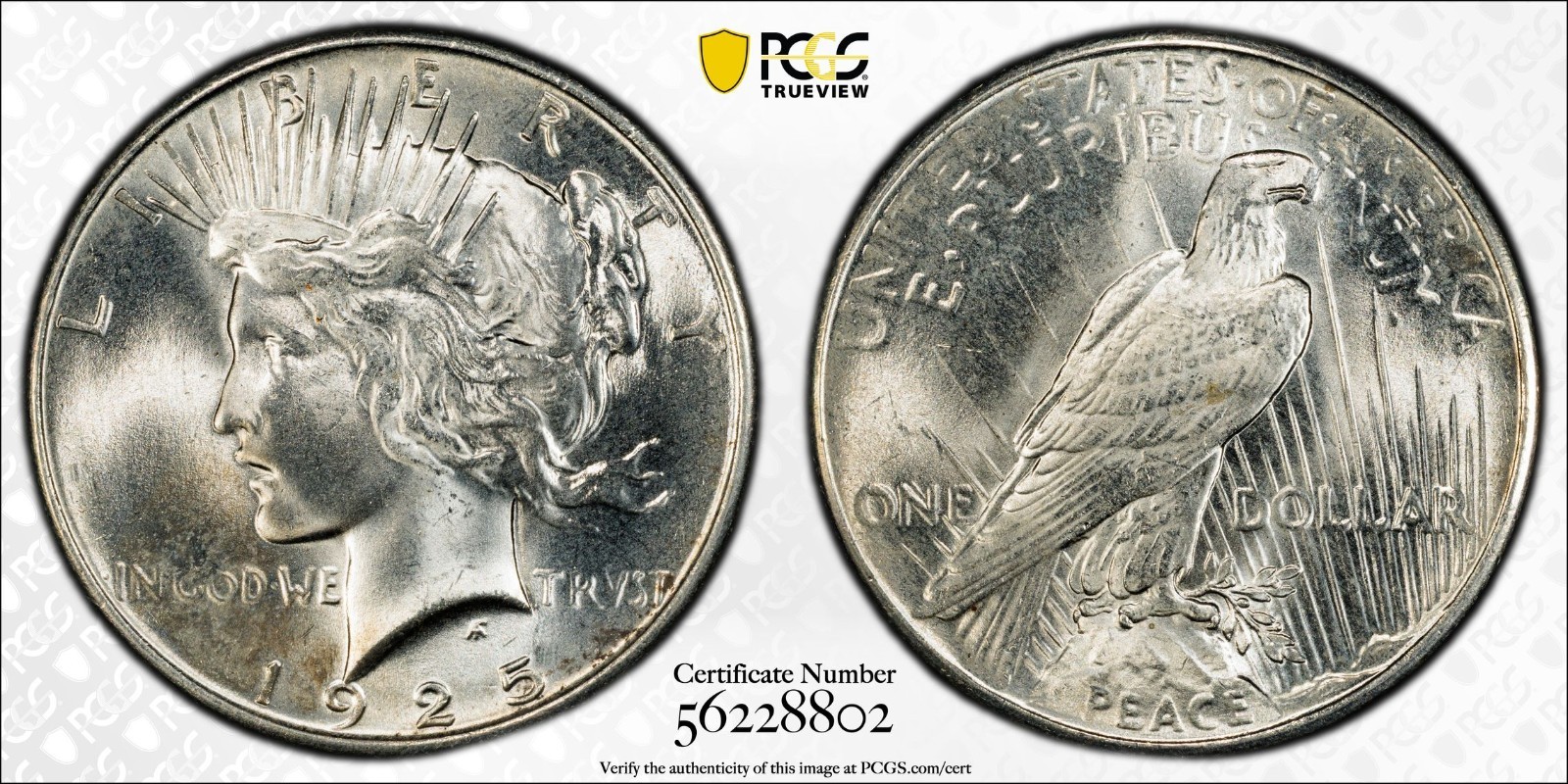1925 Peace Silver Dollar - PCGS MS 67 - Gold Shield
