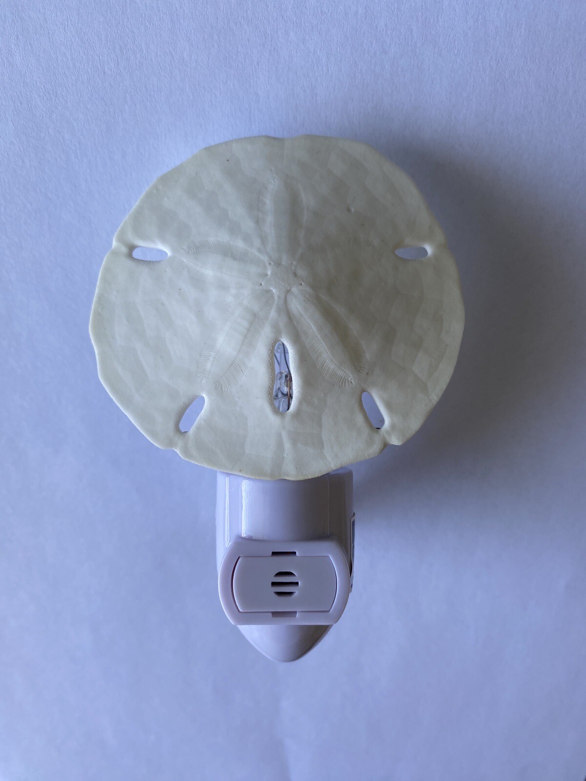 Hand-Crafted Real Sand Dollar Night Light