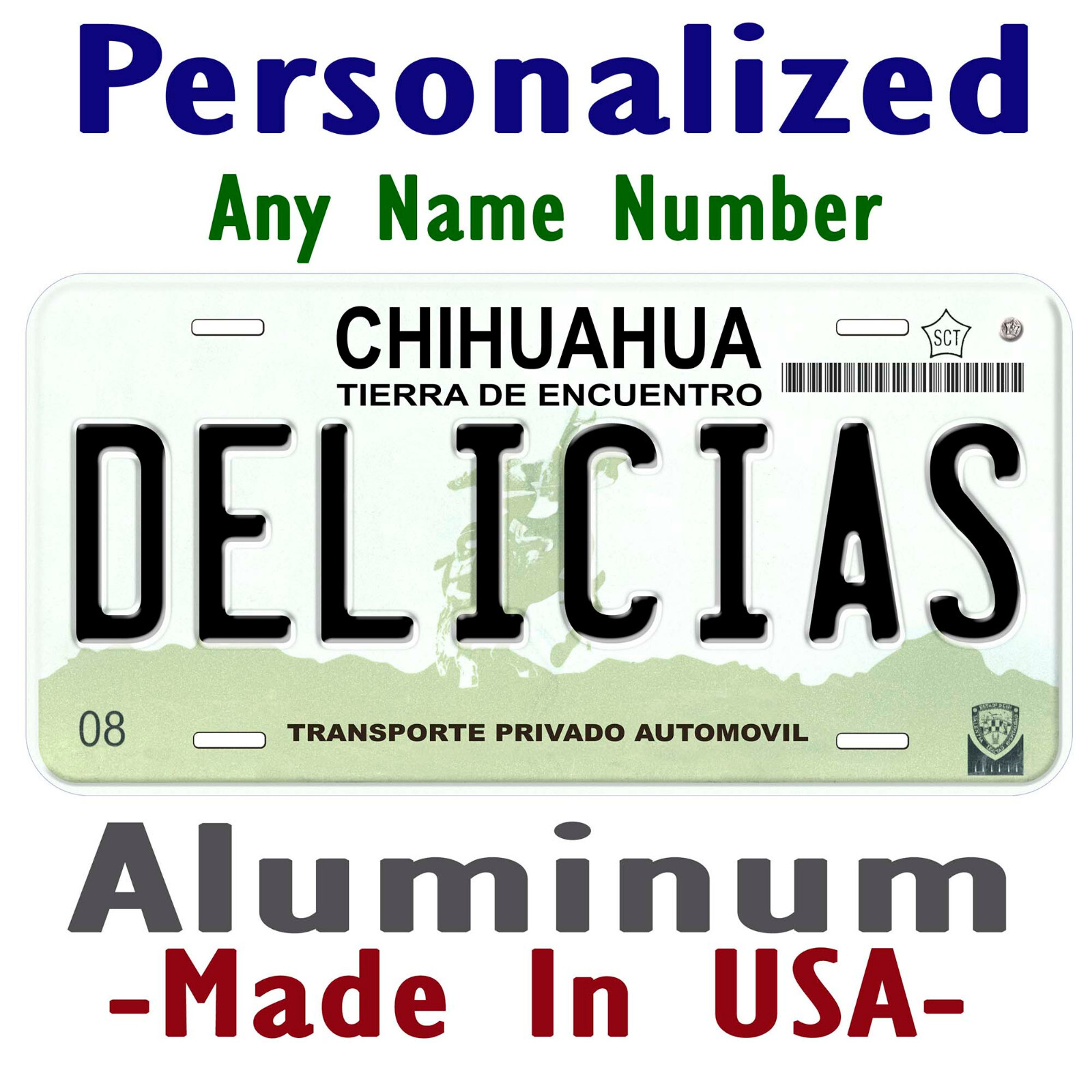 Delicias Chihuahua Mexico Any Name Personalized Novelty Car License Plate