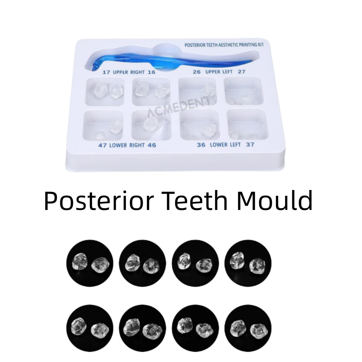 Dental Mould Veneers Posterior Teeth Partner Restoration Composite Resin Kit