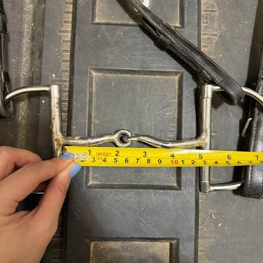 Used 5” d-ring single joint snaffle