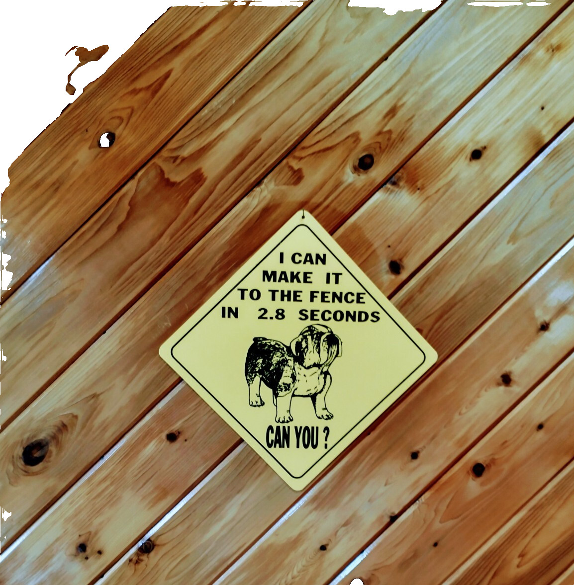 Large SIGN I CAN MAKE IT TO THE FENCE in 2.8 seconds CAN YOU?
