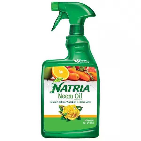 Natria Neem oil for Controls black spot, Pest Organic Disease Control, 24-Ounce.