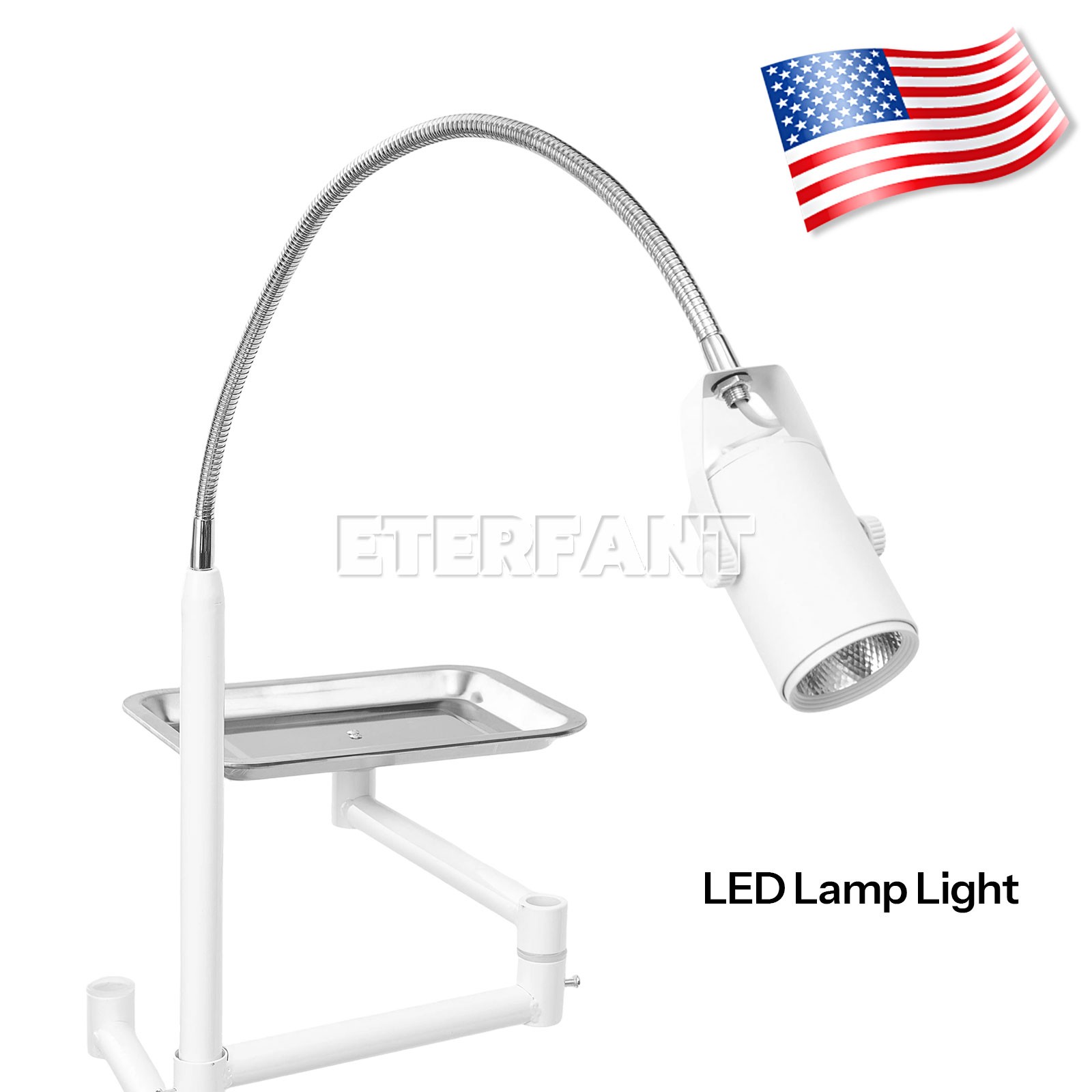Portable Dental Unit System w/Air Compressor/Adjustable Folding Chair LED Light
