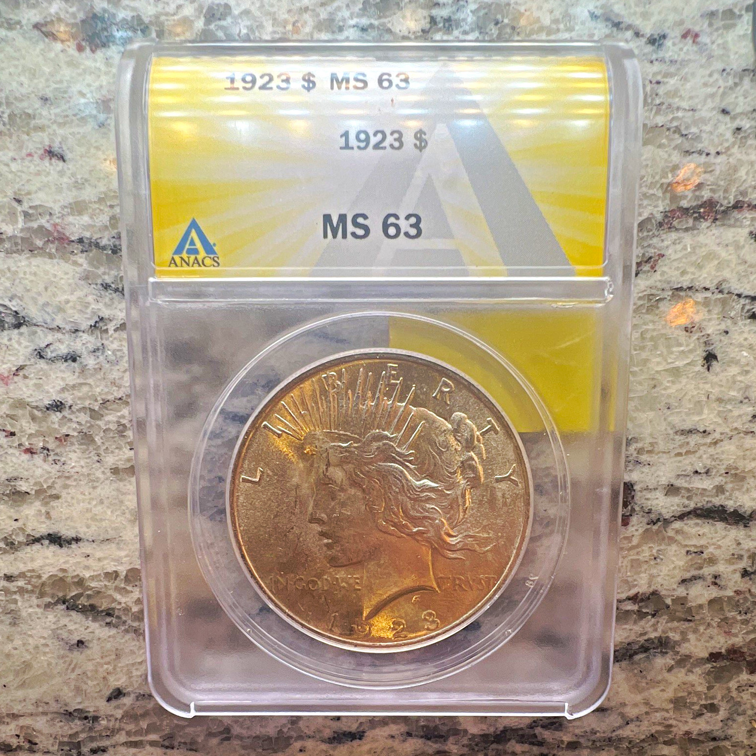 1923 Peace Silver Dollar $1 Philadelphia 0.900 Fine Silver, ANACS MS 63