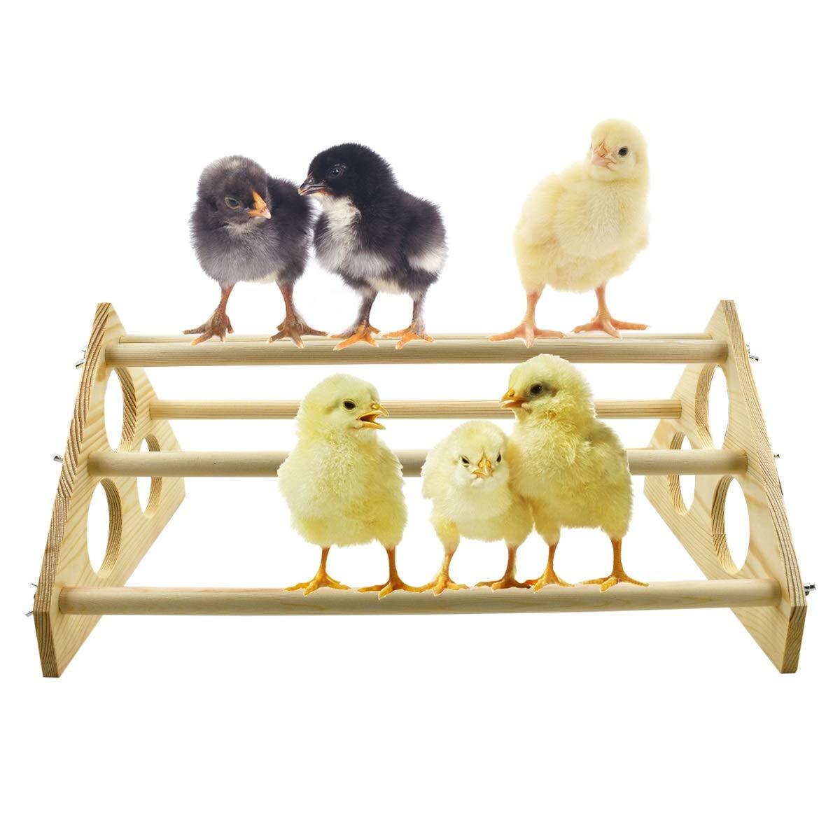 Chicken Perch Wood Stand With Holes - Training Roost Bar for Chicks and Hens ...