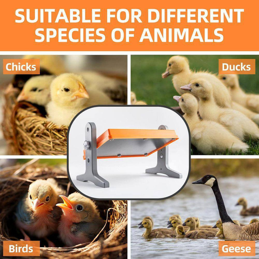 Brooder Heater Adjustable Temperature Chick Warmer Heating Plate 12 X 8 Adjustab