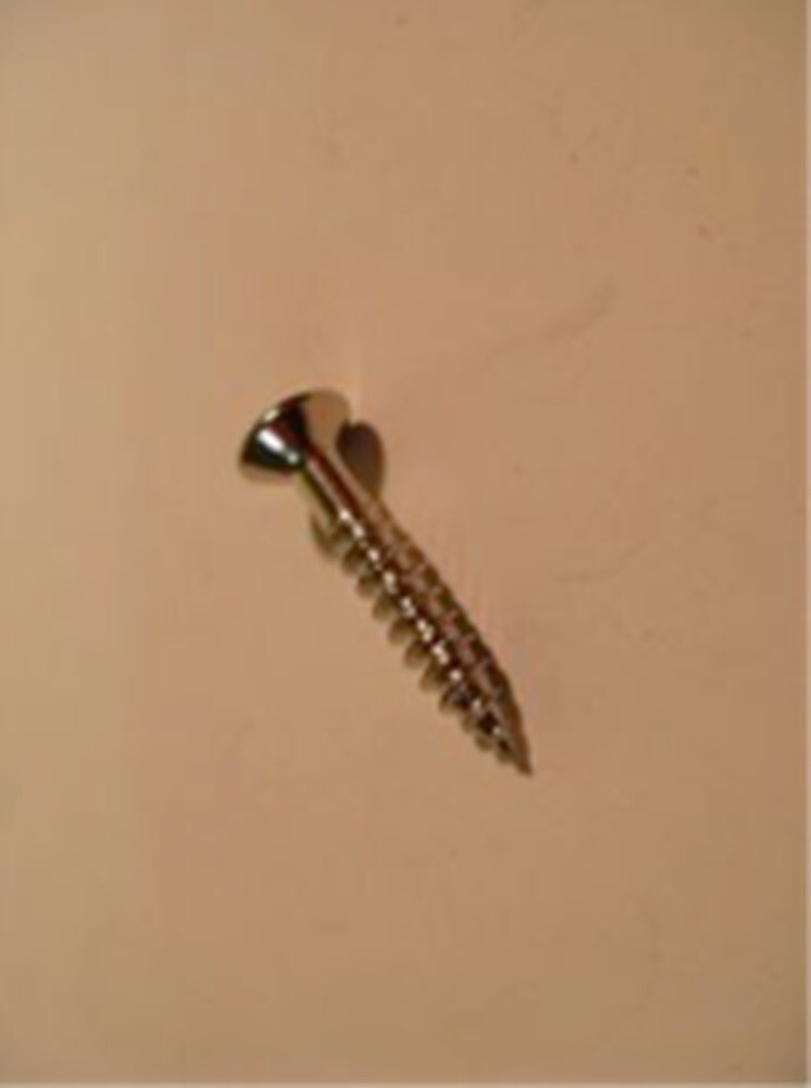 BIGSBY BRIDGE MOUNTING SCREW (4) - STAINLESS