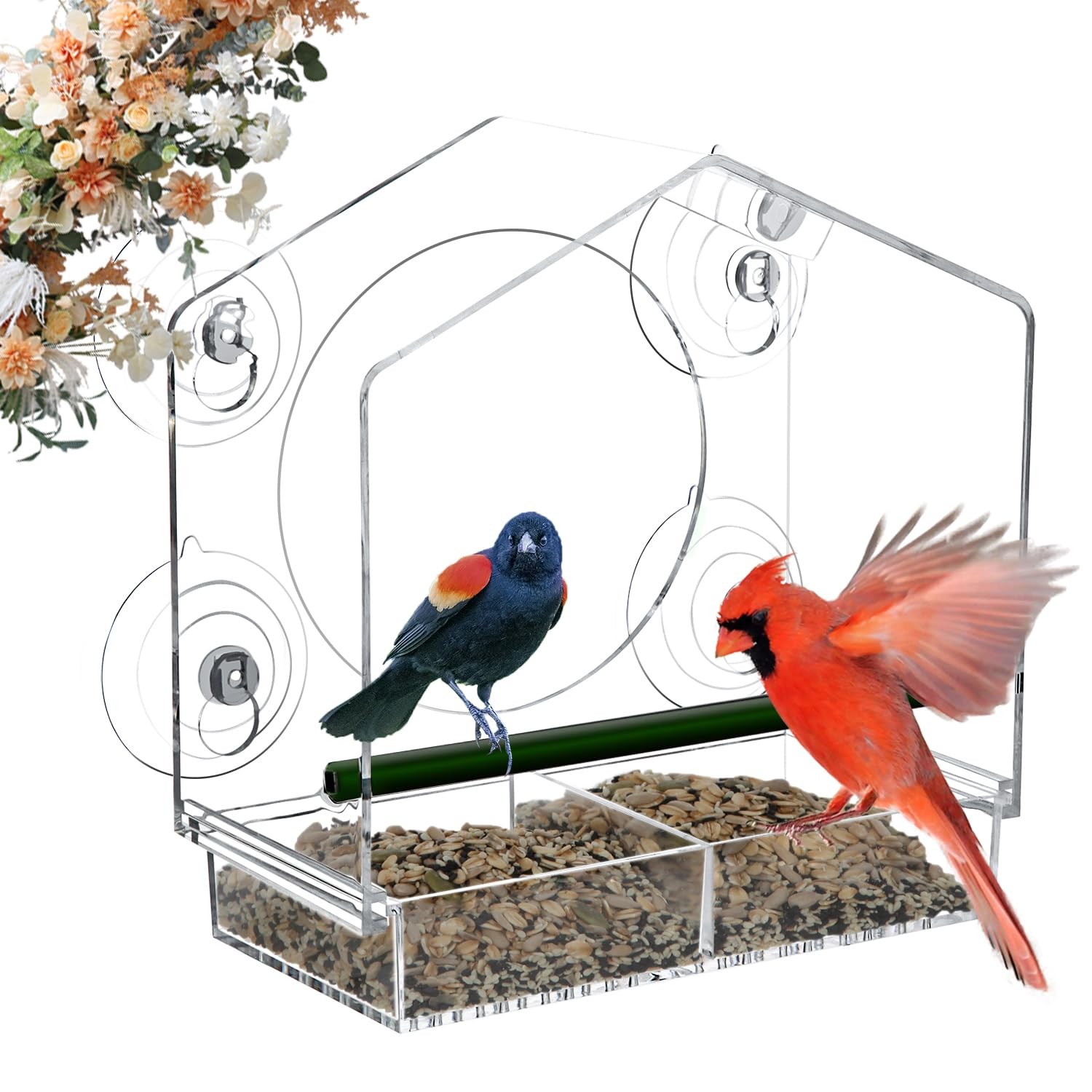 Jarkyfine Window Bird Feeder - 4 Feeder,
