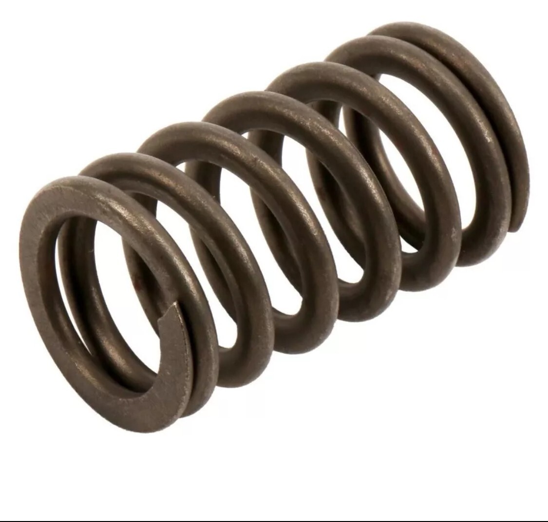 OEM Engine Valve Spring-Valve/Rocker Spring GM 12596078 - FREE SHIPPING