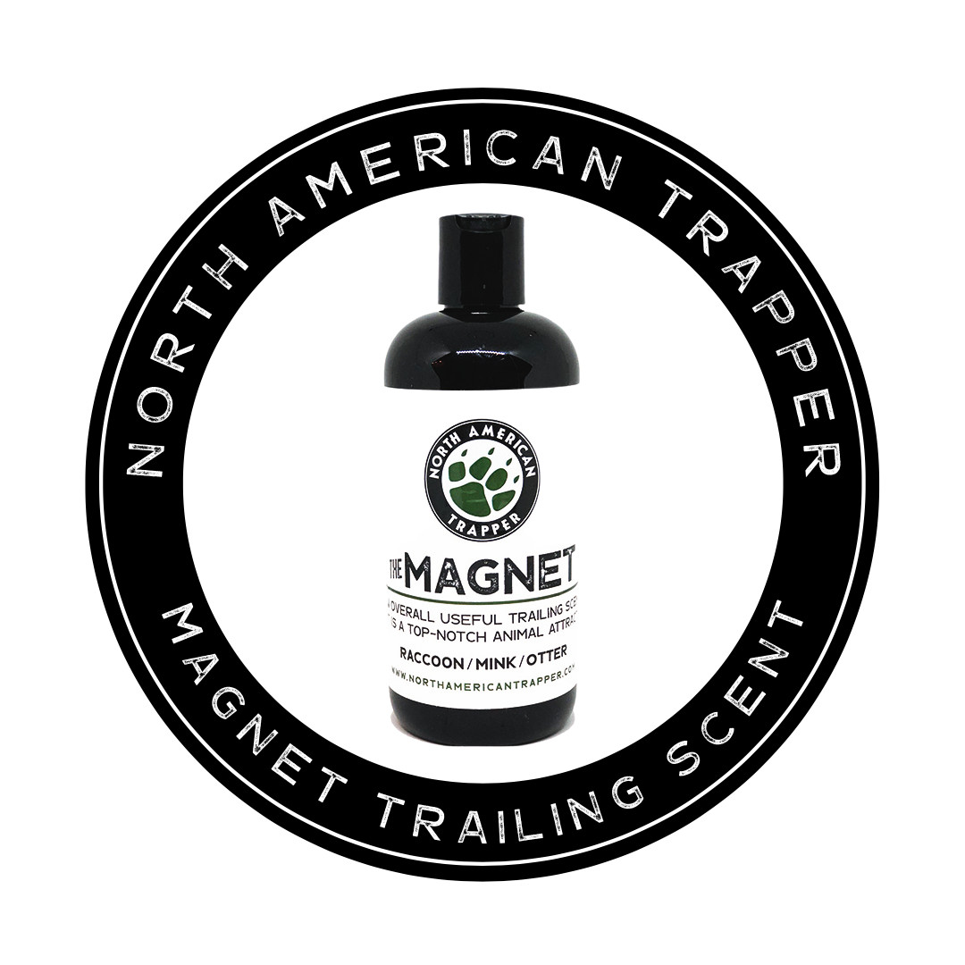 Raccoon Trapping Enticer Trailing Scent ~ North American Trapper MAGNET 16oz.