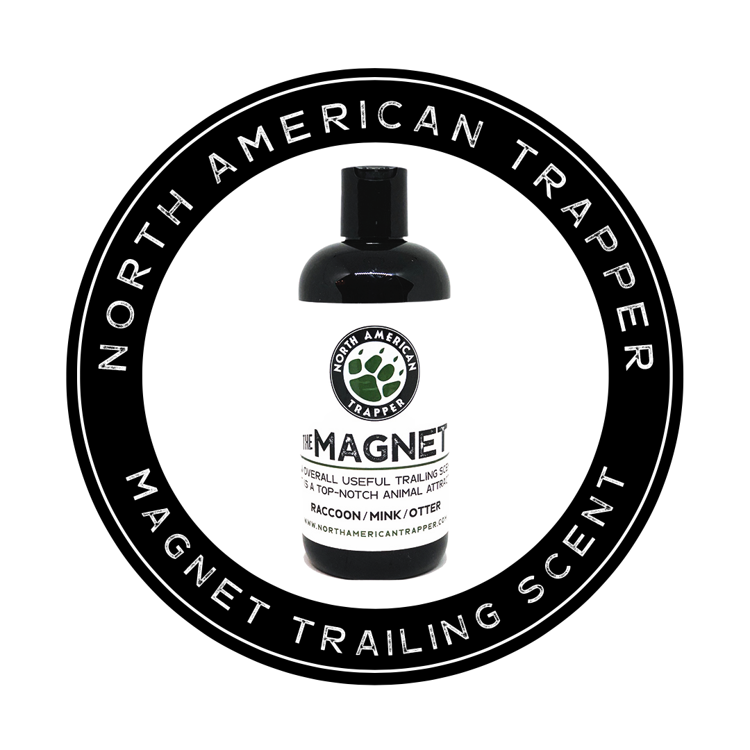 Raccoon Trapping Enticer Trailing Scent ~ North American Trapper MAGNET 16oz.
