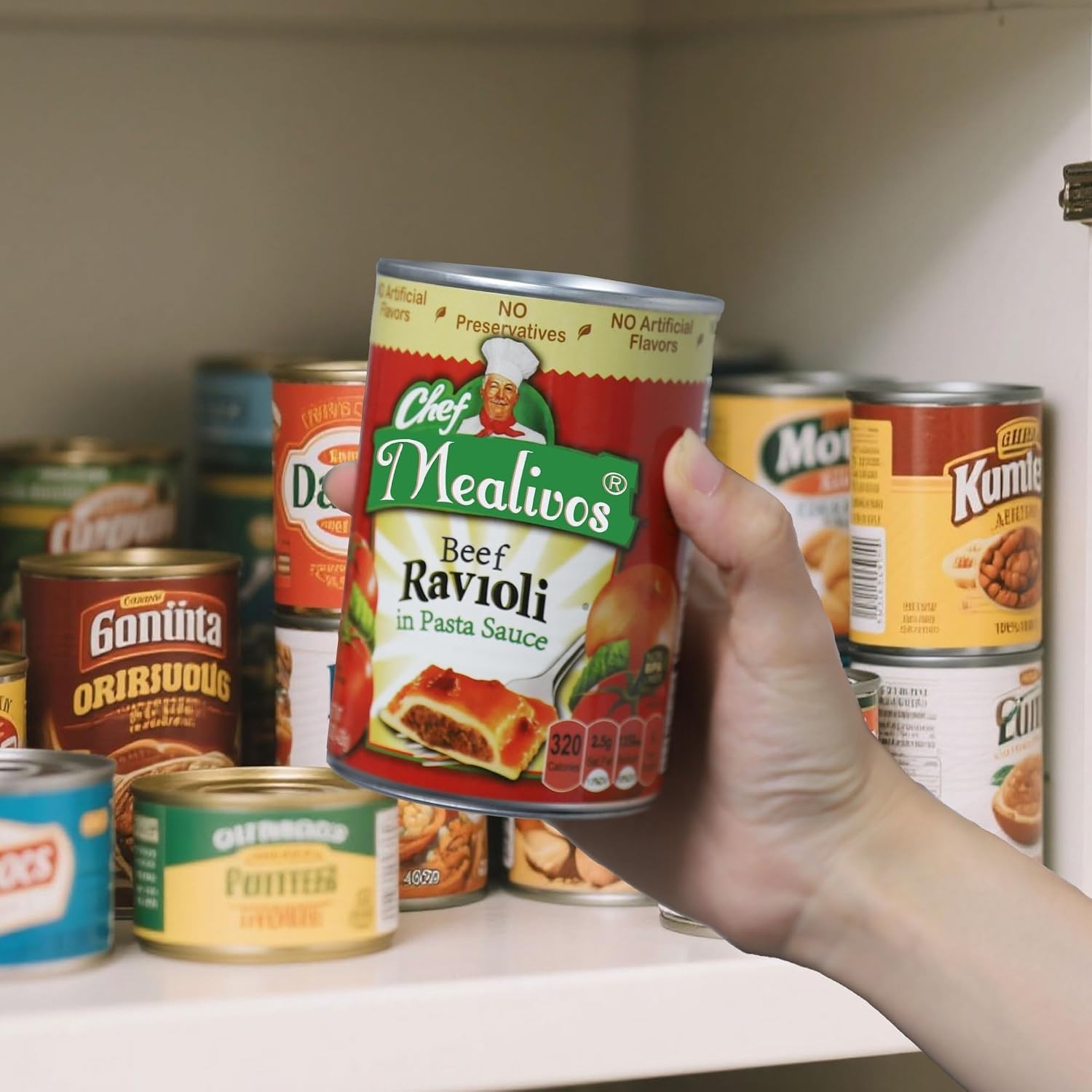 Realistic Fake Can Diversion Safe for Hidden Storage