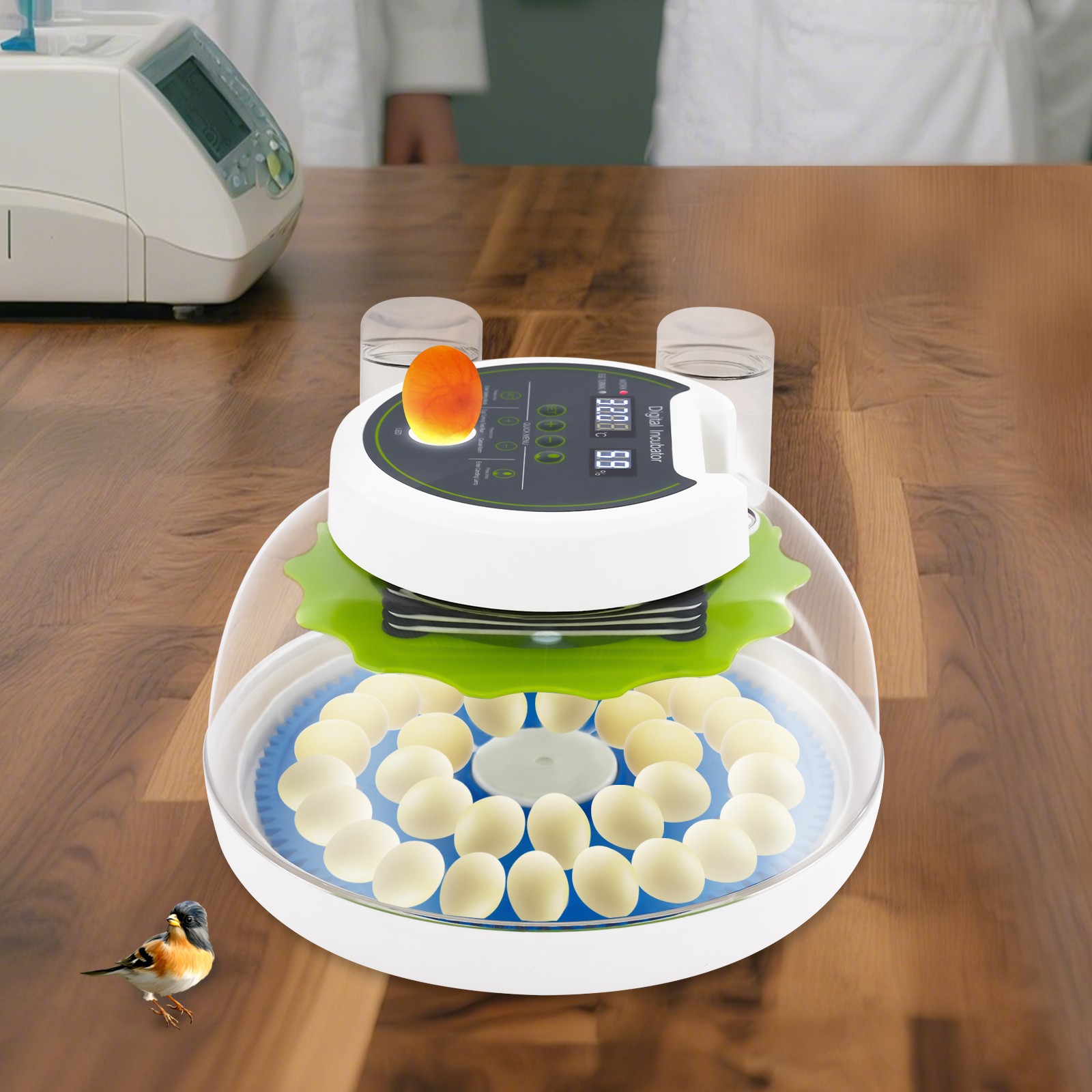 33 Egg Automatic Digital Quail Incubator w/ Auto Turn Waterer Dual Power US Plug
