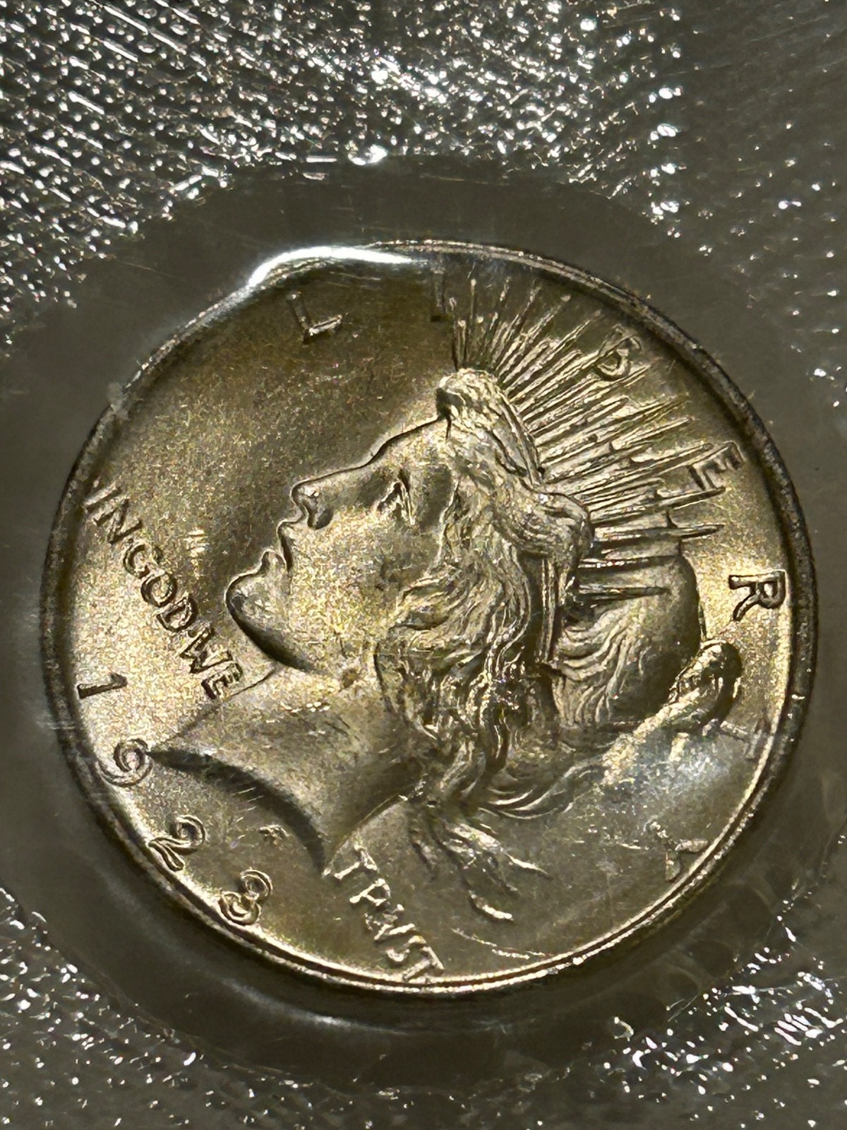 1923 P Peace Silver Dollar PCGS MS63 Original GSA Softpack Encapsulated