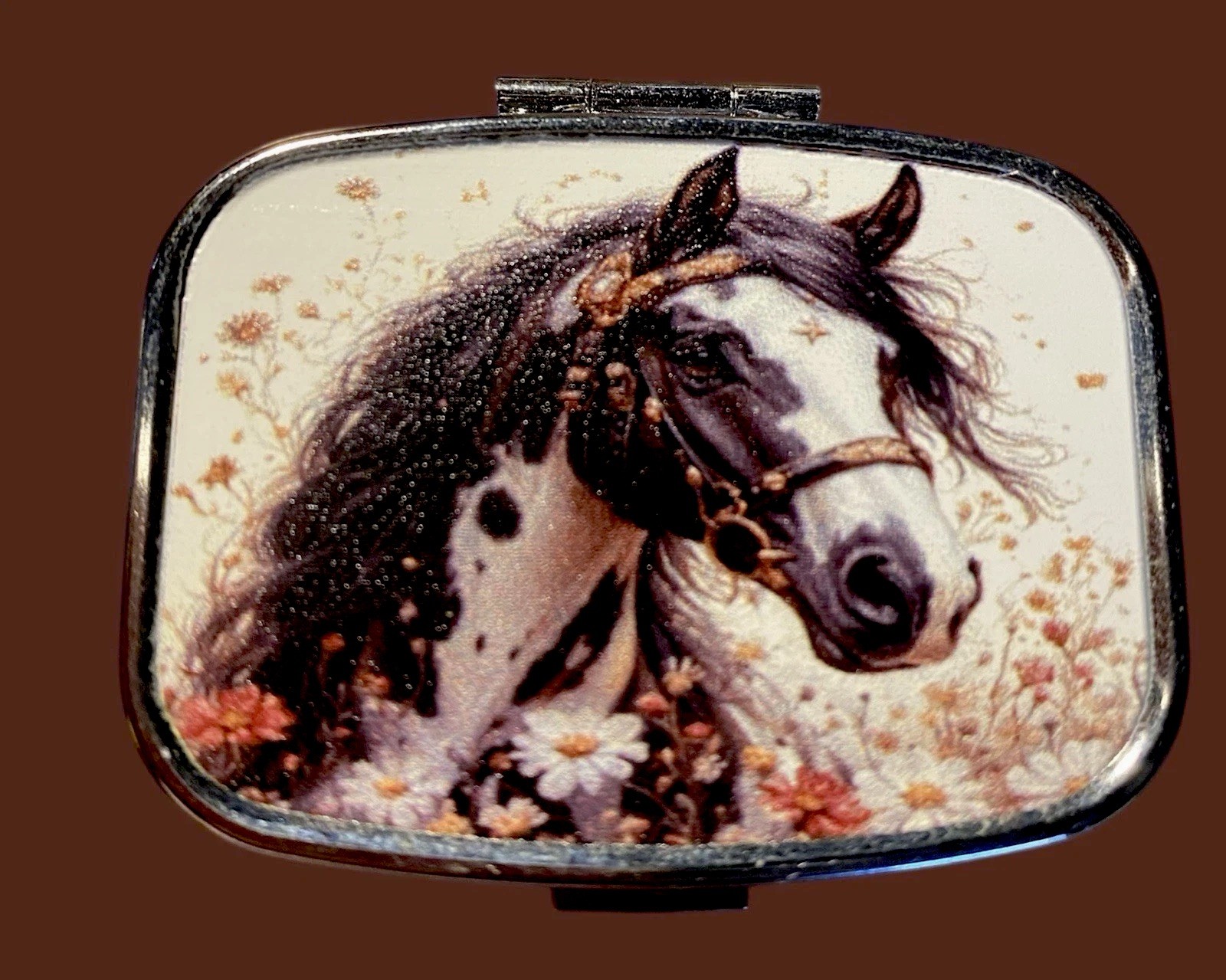 Pill Box Horse Double Sided Vitamins Prescriptions Purse Travel 2.5x1.5