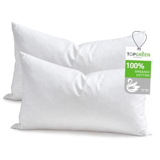 Feathers Down Throw Pillow Inserts 1x0, Set of 100% Organic 12x20 Inch 2