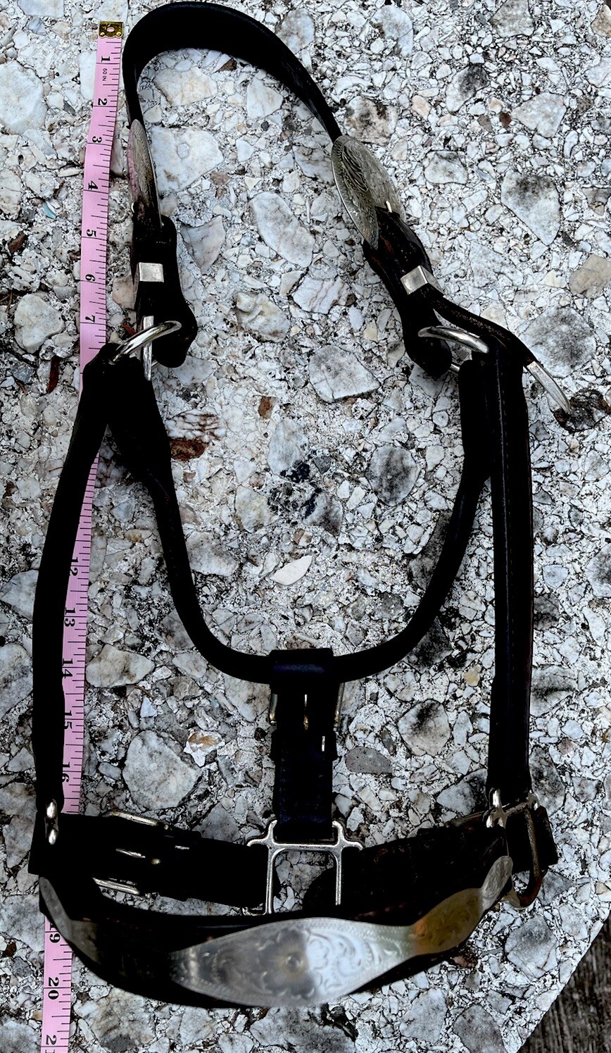 Leather Show Halter Dark Oil Round Silver 3 piece buckles, nose band decoration