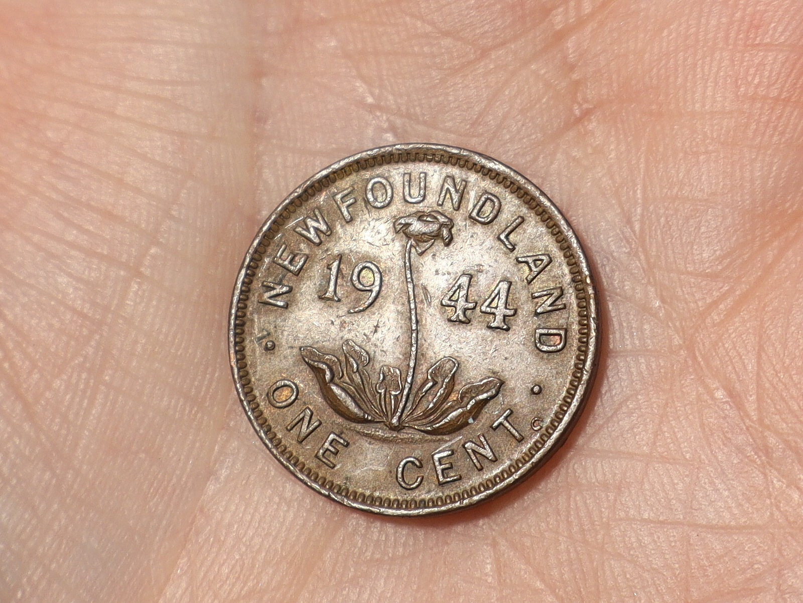 1944 Canada Newfoundland George VI One Cent 1c Ottawa Mint Coin #TT9