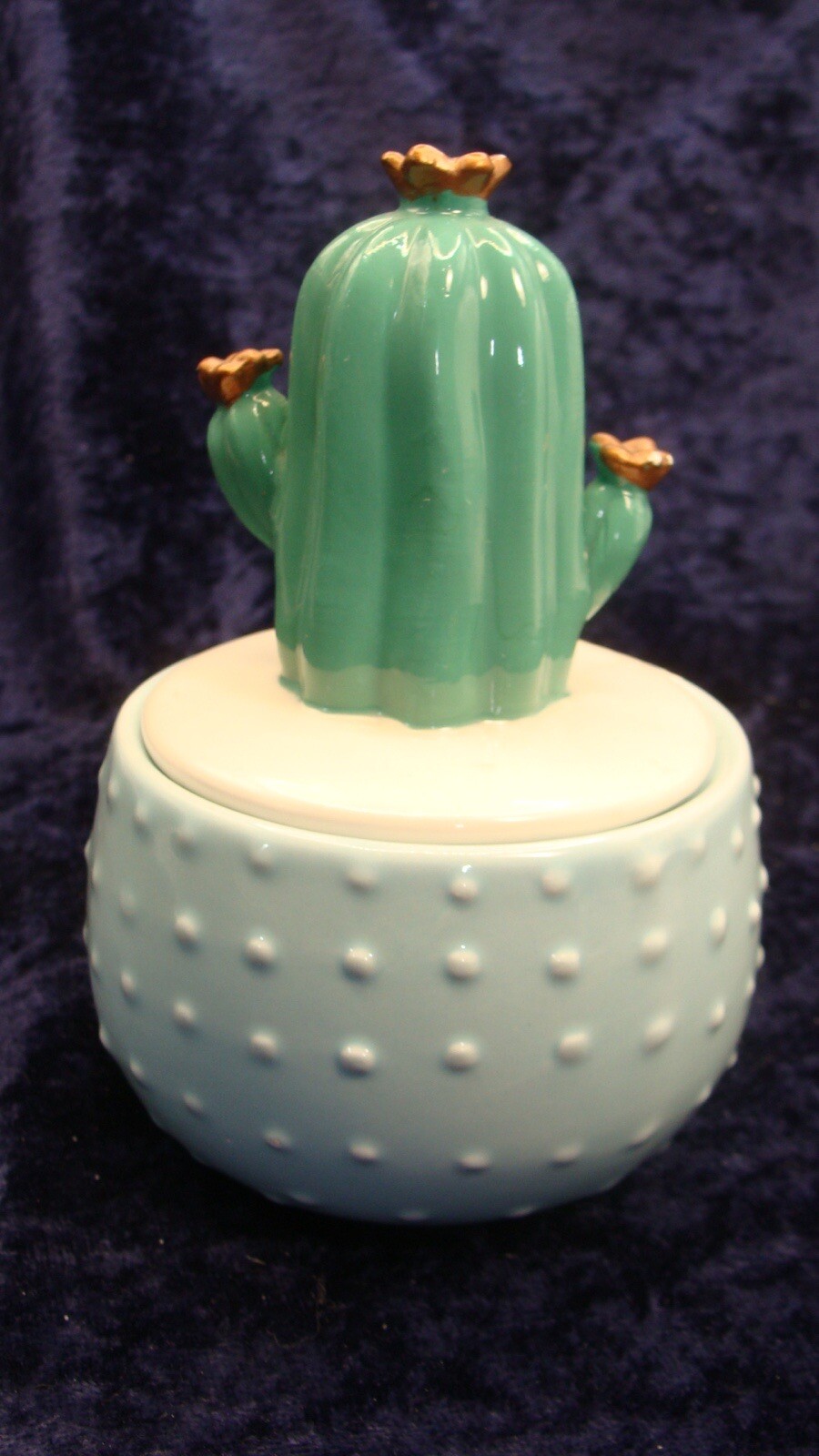 CACTUS TRINKET JAR BOX ~ 5”x4” ~ Has Very Small Chip On The Lid Base~