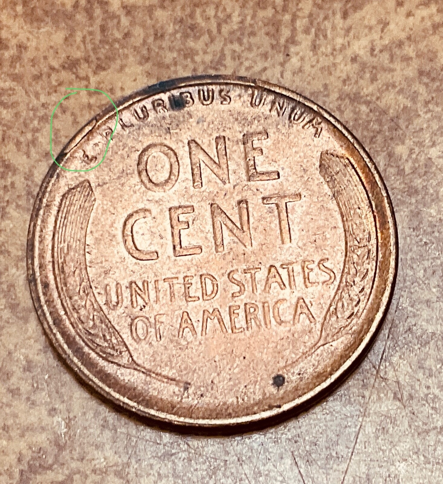1919-s LINCOLN Wheat Cent ERROR Cud on rim, die break above E Pluribus.