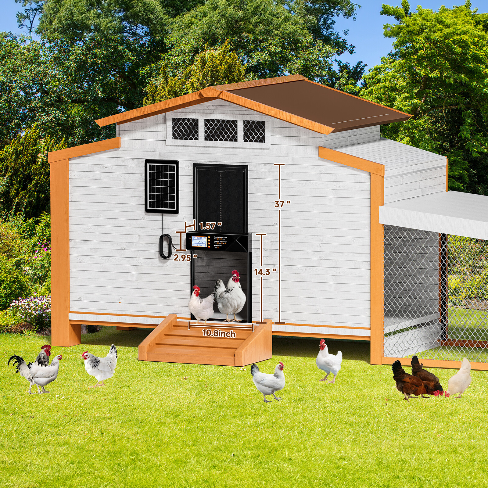 Automatic Chicken Coop Door Solar Powered Poultry Gate Opener Timer Light Sensor