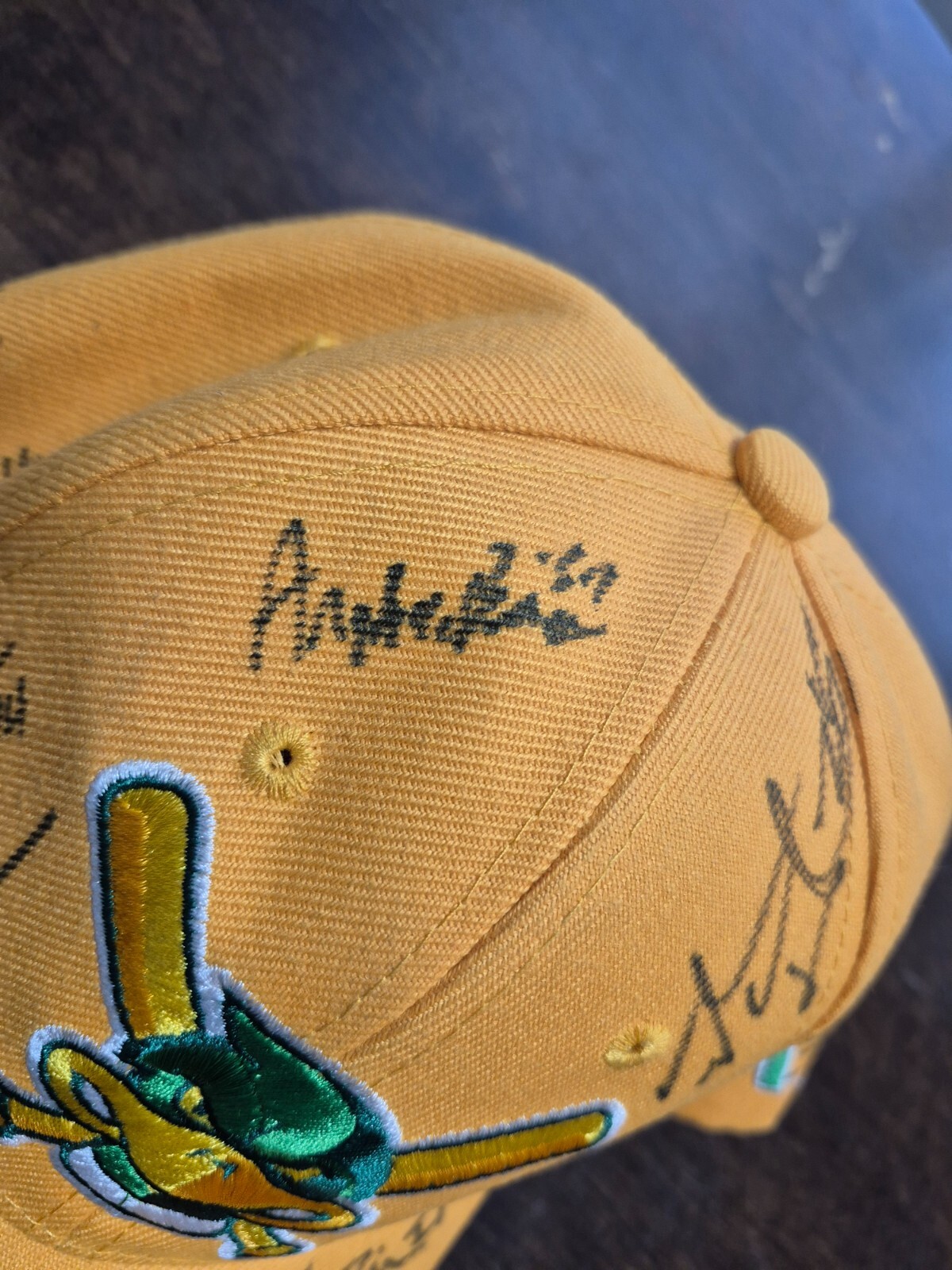 Madison Mallards signed hat 21 autographs